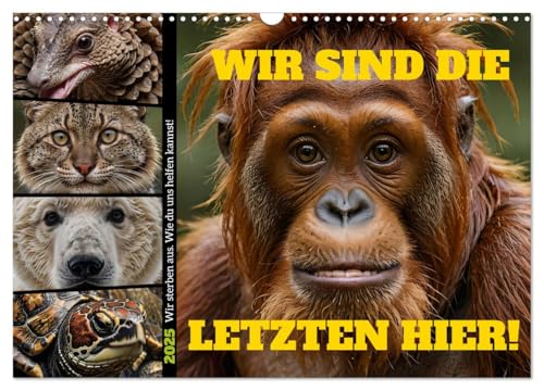Wir sind die Letzten hier! Wir sterben aus. Wie du uns helfen kannst! (Wandkalender 2025 DIN A3 quer), CALVENDO Monatskalender von CALVENDO