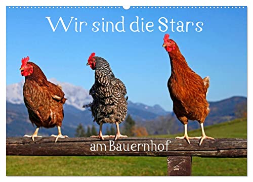 Wir sind die Stars am Bauernhof (Wandkalender 2025 DIN A2 quer), CALVENDO Monatskalender von CALVENDO