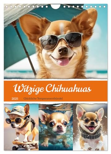 Witzige Chihuahuas. Glückliche Temperamentbündel (Wandkalender 2025 DIN A4 hoch), CALVENDO Monatskalender von CALVENDO