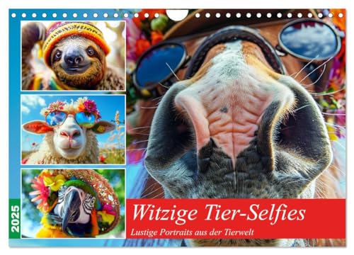 Witzige Tier-Selfies. Lustige Portraits aus der Tierwelt (Wandkalender 2025 DIN A4 quer), CALVENDO Monatskalender von CALVENDO