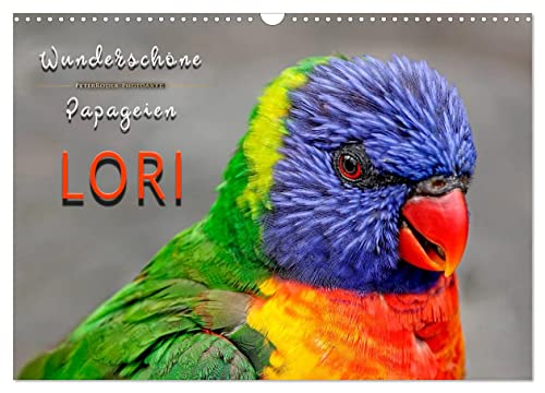 Wunderschöne Papageien - Lori (Wandkalender 2025 DIN A3 quer), CALVENDO Monatskalender von CALVENDO