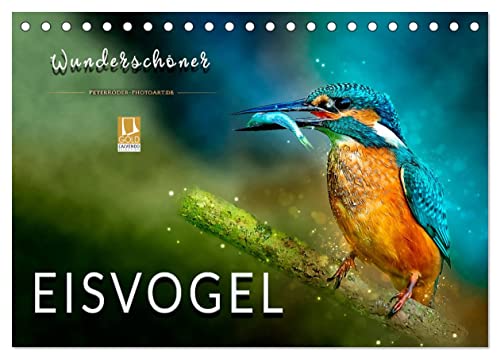 Wunderschöner Eisvogel (Tischkalender 2025 DIN A5 quer), CALVENDO Monatskalender von CALVENDO