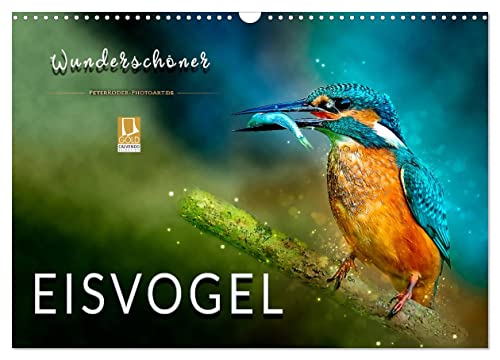 Wunderschöner Eisvogel (Wandkalender 2025 DIN A3 quer), CALVENDO Monatskalender von CALVENDO