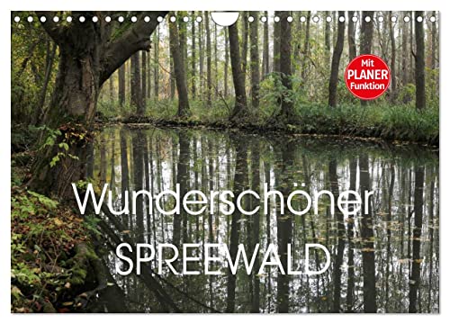Wunderschöner Spreewald (Wandkalender 2025 DIN A4 quer), CALVENDO Monatskalender von CALVENDO