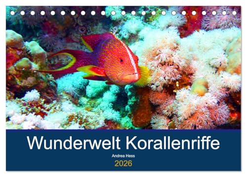 Wunderwelt Korallenriffe (Tischkalender 2026 DIN A5 quer), CALVENDO Monatskalender von CALVENDO