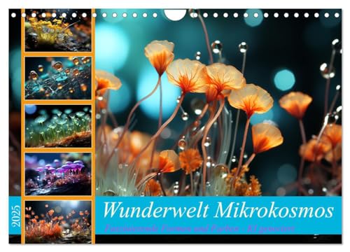 Wunderwelt Mikrokosmos (Wandkalender 2025 DIN A4 quer), CALVENDO Monatskalender von CALVENDO