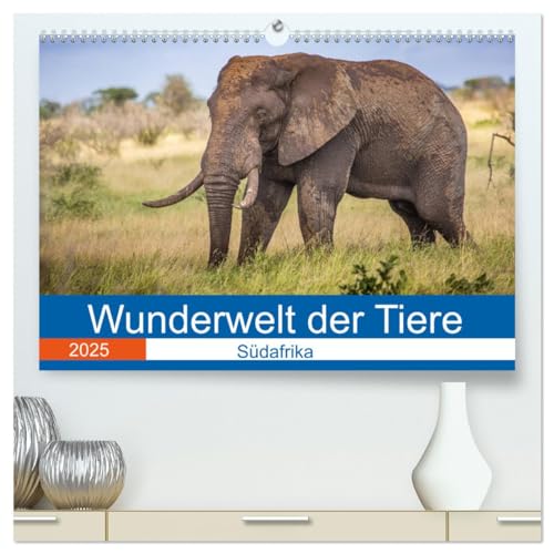 Wunderwelt der Tiere - Südafrika (hochwertiger Premium Wandkalender 2025 DIN A2 quer), Kunstdruck in Hochglanz: Mit atemberaubenden Tieraufnahmen aus Südafrika durch das Jahr (CALVENDO Tiere) von Calvendo