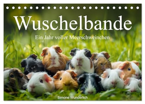 Wuschelbande - Ein Jahr voller Meerschweinchen (Tischkalender 2025 DIN A5 quer), CALVENDO Monatskalender von CALVENDO