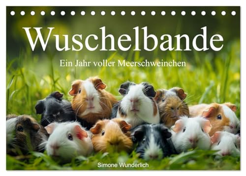 Wuschelbande - Ein Jahr voller Meerschweinchen (Tischkalender 2025 DIN A5 quer), CALVENDO Monatskalender