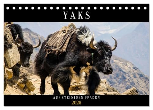 Yaks - auf steinigen Pfaden (Tischkalender 2026 DIN A5 quer), CALVENDO Monatskalender von CALVENDO