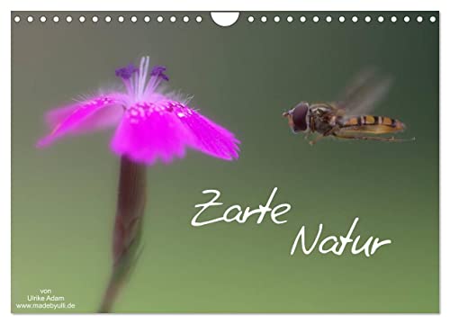 Zarte Natur 2025 (Wandkalender 2025 DIN A4 quer), CALVENDO Monatskalender von CALVENDO