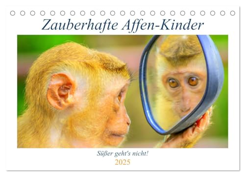 Zauberhafte Affenkinder. Süßer geht´s nicht! (Tischkalender 2025 DIN A5 quer), CALVENDO Monatskalender von CALVENDO