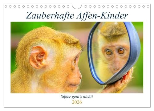 Zauberhafte Affenkinder. Süßer geht´s nicht! (Wandkalender 2026 DIN A4 quer), CALVENDO Monatskalender: Niedliche kleine Wichtel zum Verlieben! (CALVENDO Tiere) von Calvendo