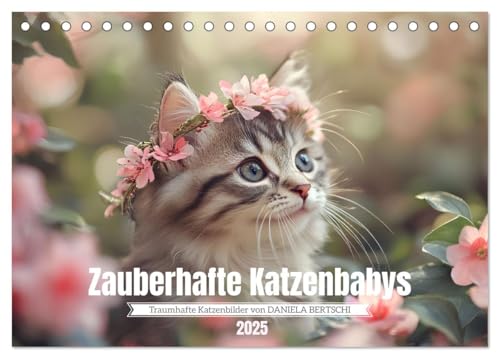 Zauberhafte Katzenbabys (Tischkalender 2025 DIN A5 quer), CALVENDO Monatskalender von CALVENDO