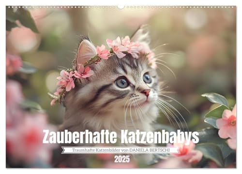 Zauberhafte Katzenbabys (Wandkalender 2025 DIN A2 quer), CALVENDO Monatskalender von CALVENDO