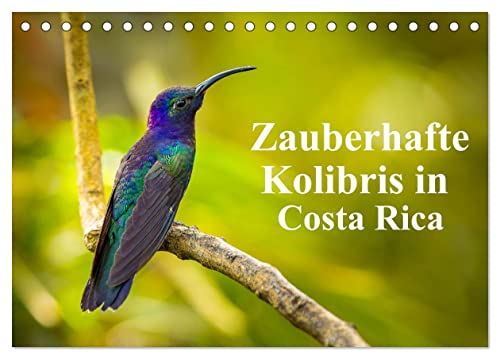 Zauberhafte Kolibris in Costa Rica (Tischkalender 2025 DIN A5 quer), CALVENDO Monatskalender: Ungefähr 52 Arten von Kolibris sind in Costa Rica ... ganzen Land zu sehen sind. (CALVENDO Tiere) von Calvendo