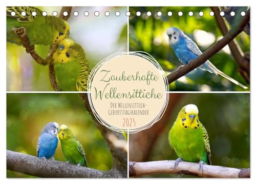 Zauberhafte Wellensittiche (Tischkalender 2025 DIN A5 quer), CALVENDO Monatskalender von CALVENDO