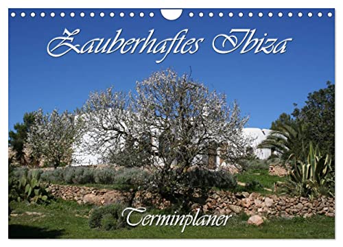 Zauberhaftes Ibiza - Terminplaner (Wandkalender 2025 DIN A4 quer), CALVENDO Monatskalender von CALVENDO