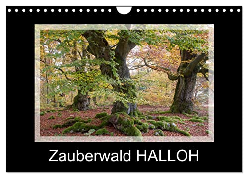 Zauberwald HALLOH (Wandkalender 2025 DIN A4 quer), CALVENDO Monatskalender von CALVENDO