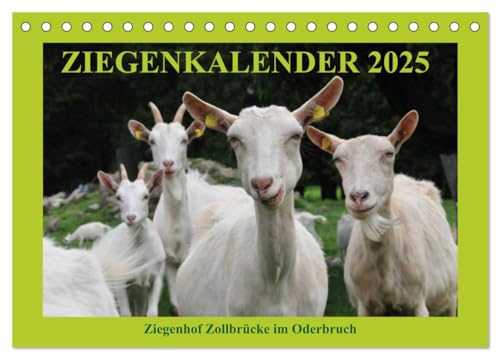 Ziegenkalender 2025 (Tischkalender 2025 DIN A5 quer), CALVENDO Monatskalender von CALVENDO