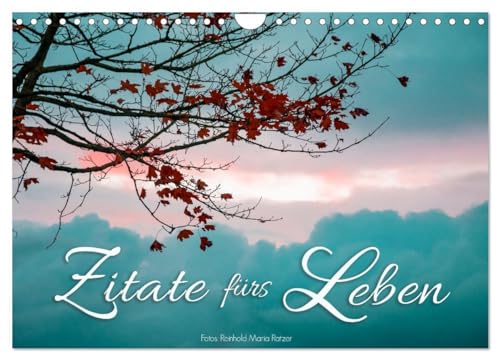 Zitate fürs Leben (Wandkalender 2025 DIN A4 quer), CALVENDO Monatskalender: Alltagstaugliche Weisheiten berühmter Denker eindrucksvoll bebildert. (CALVENDO Kunst) von CALVENDO