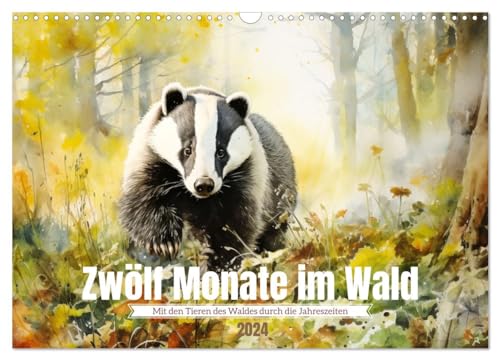 Zwölf Monate im Wald (Wandkalender 2024 DIN A3 quer), CALVENDO Monatskalender