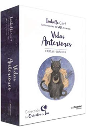 Vidas Anteriores Vidas Anteriores von GUY TREDANIEL EDICIONES