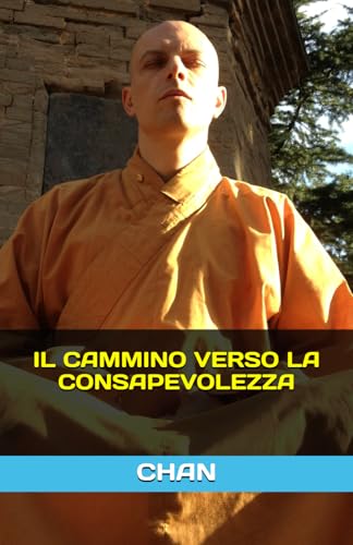 IL CAMMINO VERSO LA CONSAPEVOLEZZA (SOGNI CHE DIVENTANO REALTA', Band 2) von Independently published