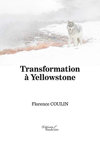 Transformation à Yellowstone von Baudelaire