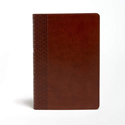 KJV Everyday Study Bible, British Tan LeatherTouch: King James Version, British Tan Leathertouch von Holman Bibles