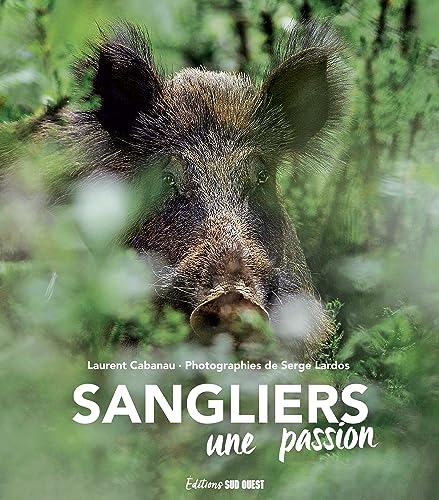Sangliers: Une passion