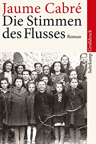Die Stimmen des Flusses: Roman (suhrkamp taschenbuch) von Suhrkamp Verlag AG