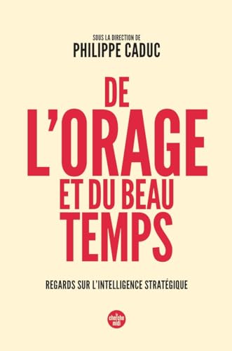 De l'orage et du beau temps - Regards sur l'intelligence stratégique