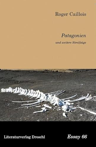 Patagonien und weitere Streifzüge (Essays)