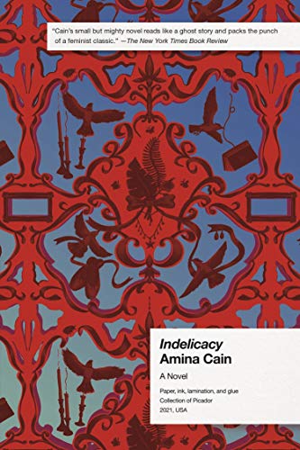 Indelicacy: Amina Cain