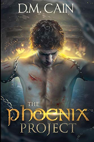 The Phoenix Project von Blurb
