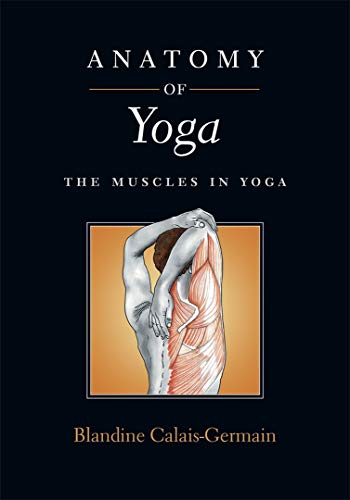 Anatomy of Yoga: The Muscles in Yoga