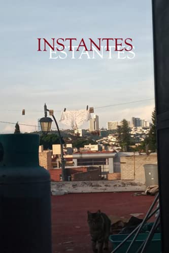 INSTANTES/ESTANTES von Independently published