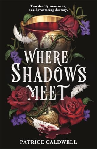 Where Shadows Meet: The instant Sunday Times bestselling sapphic vampire romantasy von Hot Key Books