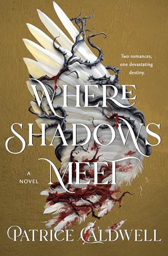 Where Shadows Meet von Wednesday Books