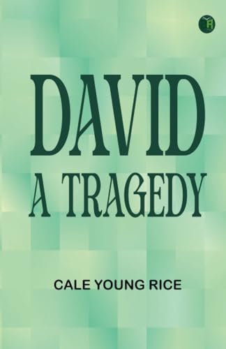 David A Tragedy von Zinc Read