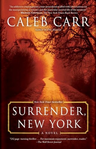 Surrender, New York: A Novel