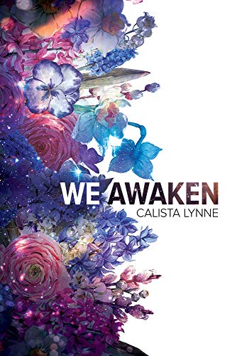 We Awaken von Dreamspinner Press LLC