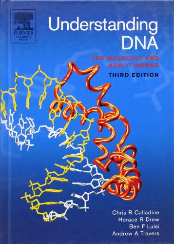 Understanding DNA: The Molecule and How it Works von Academic Press