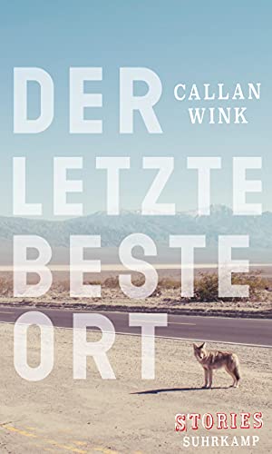 Der letzte beste Ort: Stories