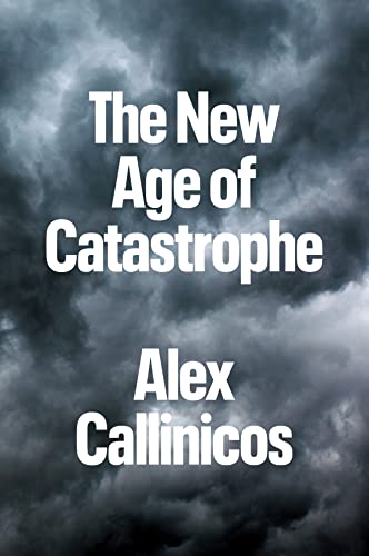 The New Age of Catastrophe von Polity