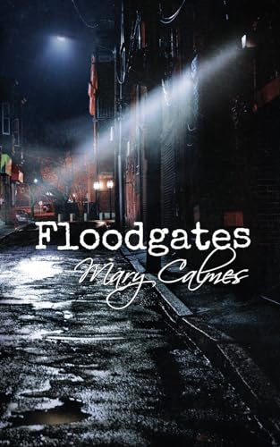 Floodgates von Independently published