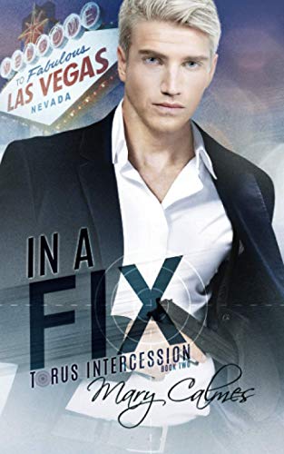 In A Fix: Torus Intercession Book Two In A Fix: Torus Intercession Book Two von Independently published