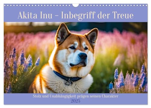 Akita Inu - Inbegriff der Treue (Wandkalender 2025 DIN A3 quer), CALVENDO Monatskalender von CALVENDO