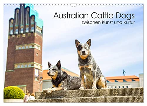 Australian Cattle Dogs zwischen Kunst und Kultur (Wandkalender 2025 DIN A3 quer), CALVENDO Monatskalender von CALVENDO